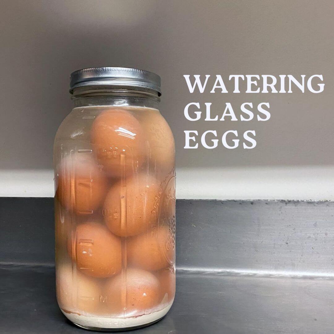 watering glass eggs